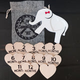 Baby Birth Announcement Discs